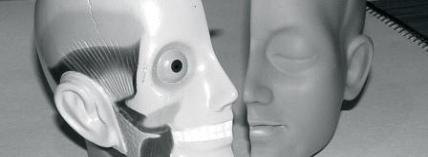 f76d3-headmodel-700873